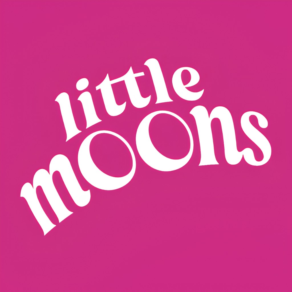 Little Moons Marketing Plan preview